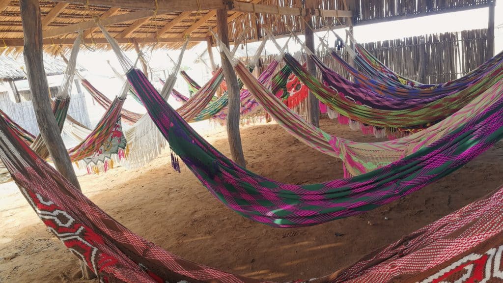 amache la guajira